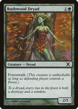 Rushwood Dryad |  Foil (294) [10th Edition]