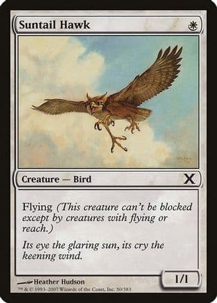 Suntail Hawk |  Foil (050) [10th Edition]