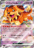 Dachsbun ex 046/102 (SV7: Stellar Miracle)  - Holofoil