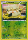 Cottonee 14/149 (Boundaries Crossed)  - Reverse Holofoil