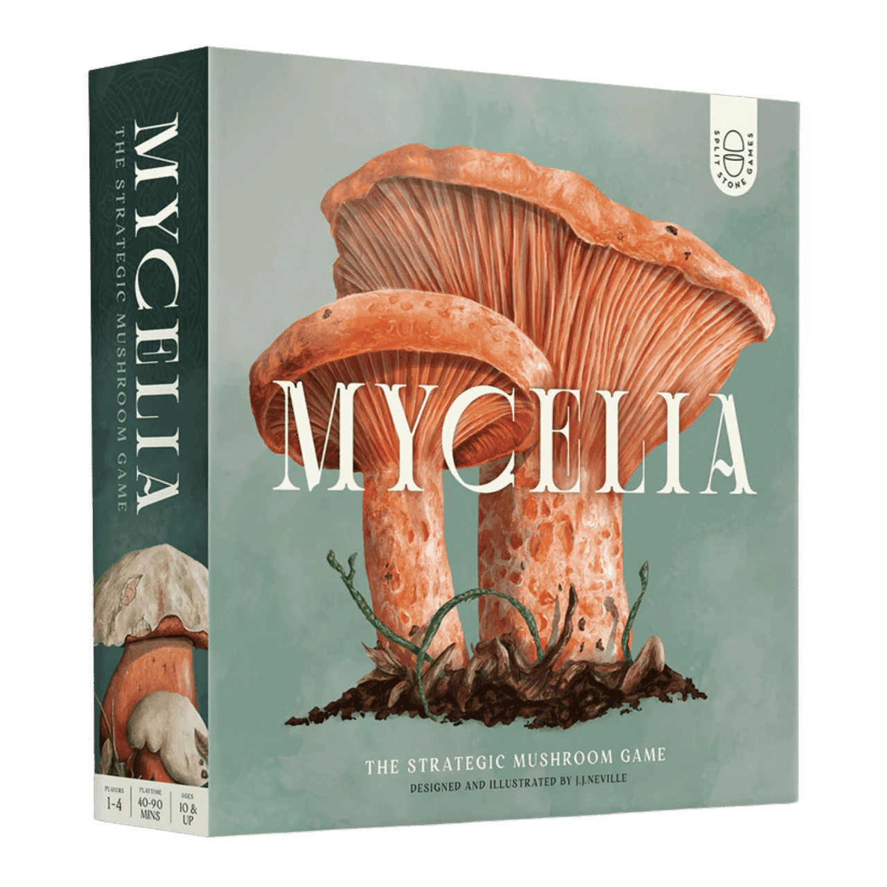Mycelia: The Strategic Mushroom Game