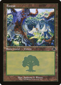 Forest 411/261 (Dominaria Remastered)  - Retro Foil