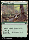 Tranquil Thicket 350 (Commander: Bloomburrow) 