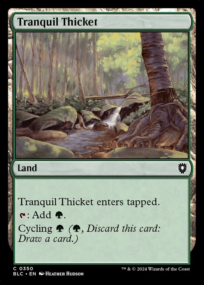 Tranquil Thicket 350 (Commander: Bloomburrow) 