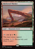 Sheltered Thicket 167/176 (Commander: Lorwyn Eclipsed) 