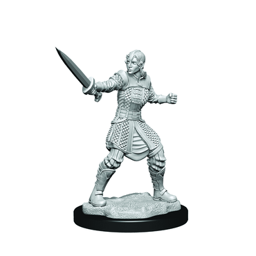 Critical Role Unpainted Miniatures Human Dwendalian Empire Fighter Female