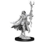 D&D Frameworks | Human Druid Female