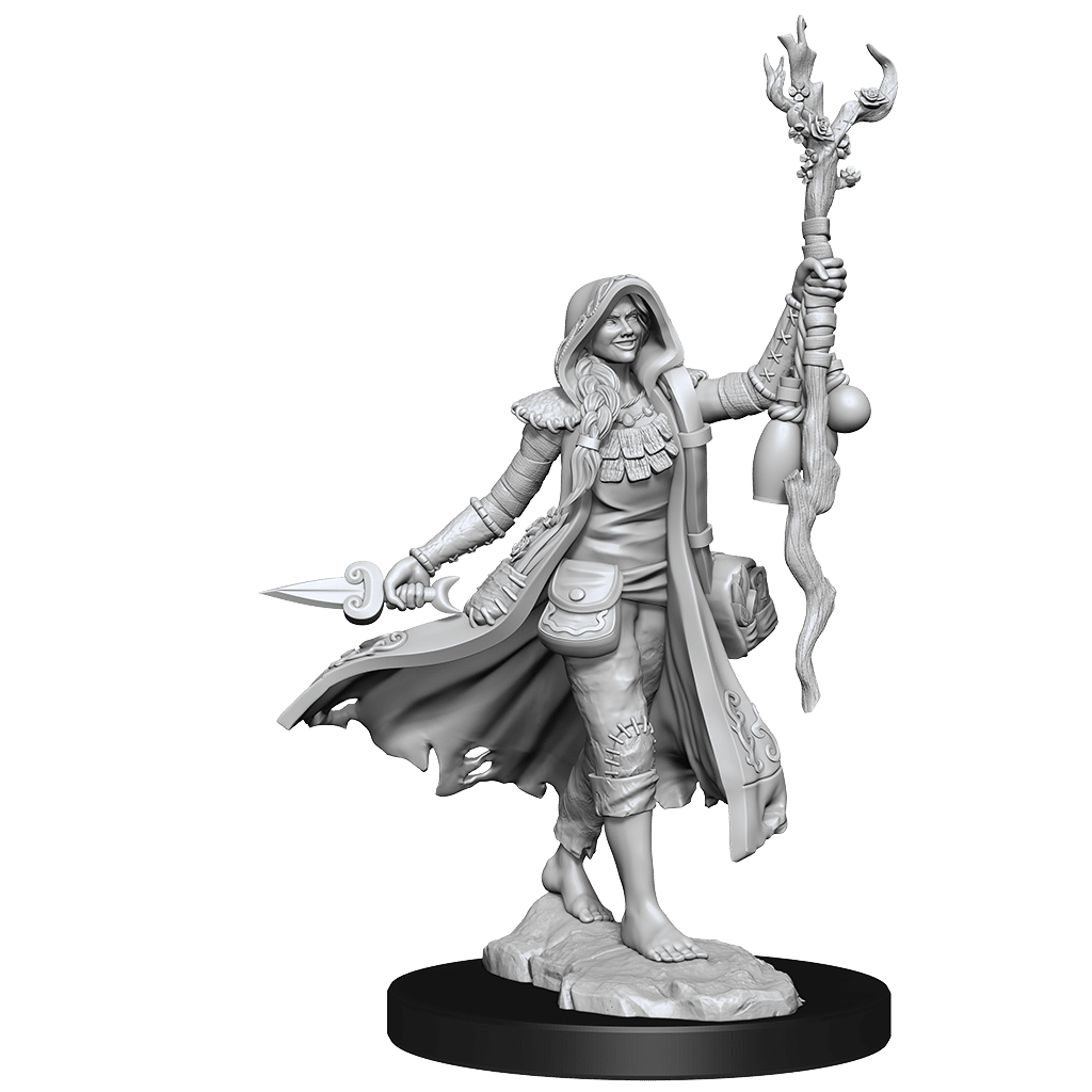 D&D Frameworks | Human Druid Female