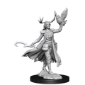 D&D Frameworks | Human Druid Female