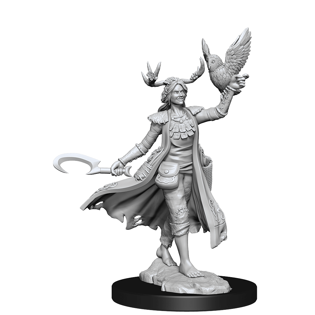 D&D Frameworks | Human Druid Female