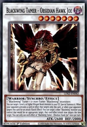 Blackwing Tamer - Obsidian Hawk Joe [LDS2-EN042] Common