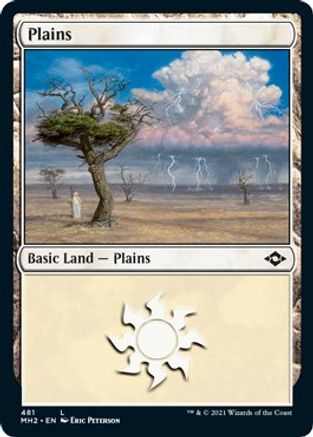 Plains (481) (Foil Etched) |  Foil (481) [Modern Horizons 2]