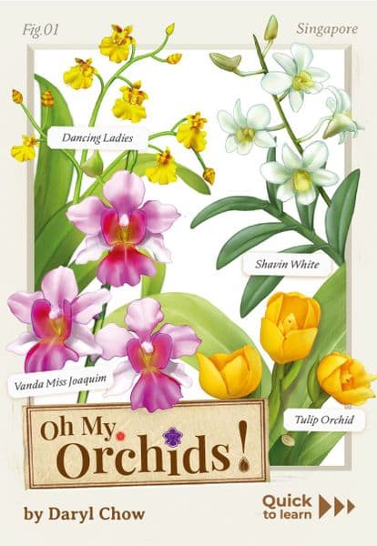 Origame: Oh My. Orchids!