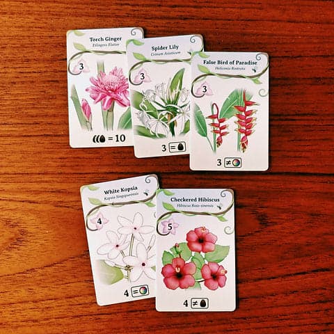 Origame: Oh My. Orchids!