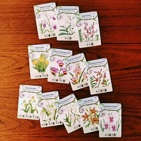 Origame: Oh My. Orchids!