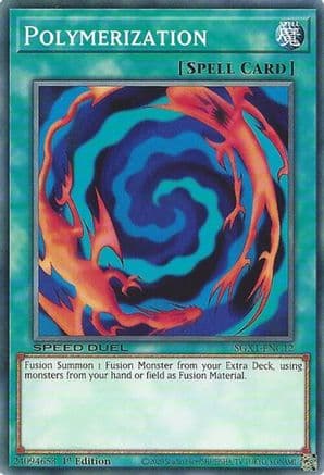 Polymerization [SGX1-ENC12] Common