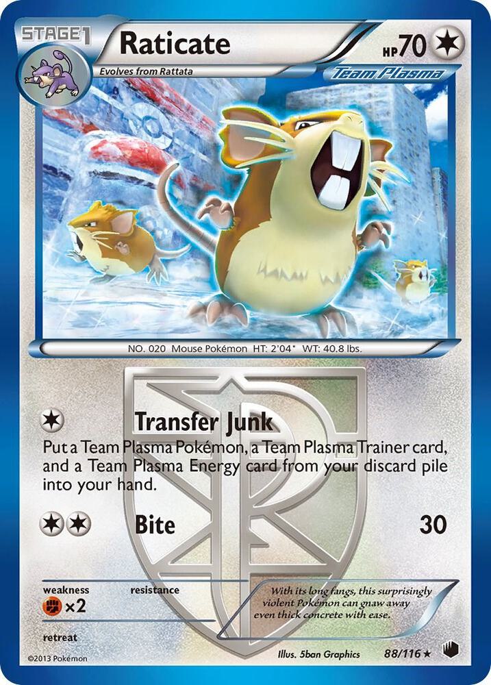 Raticate Team Plasma 88/116 (Plasma Freeze) 