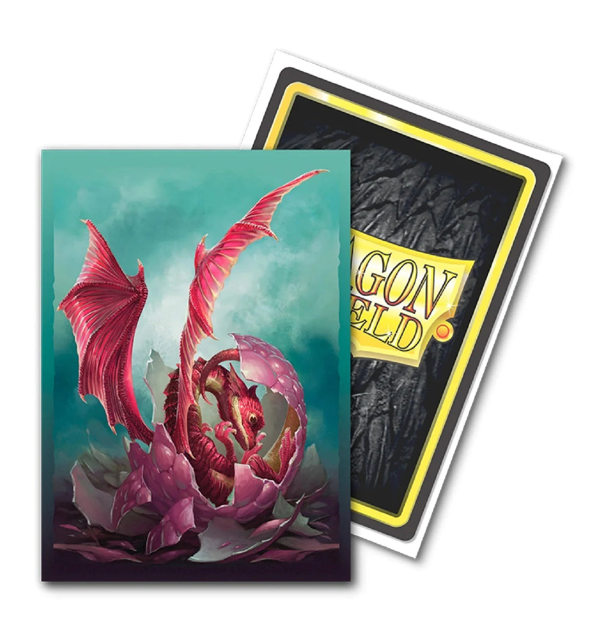 Dragon Shield | Standard Size Sleeves | 100ct | Wyngs (Art Brushed Matte)