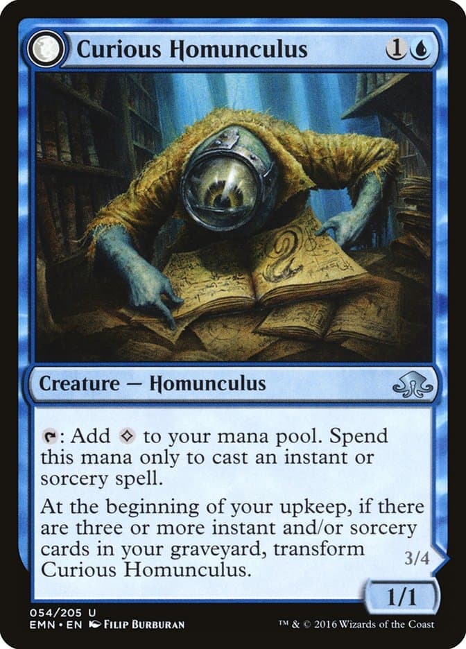 Curious Homunculus // Voracious Reader [Eldritch Moon] Foil