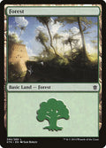 Forest 266/269 (Khans of Tarkir) 