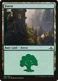 Forest 264/259 (Guilds of Ravnica)  - Foil