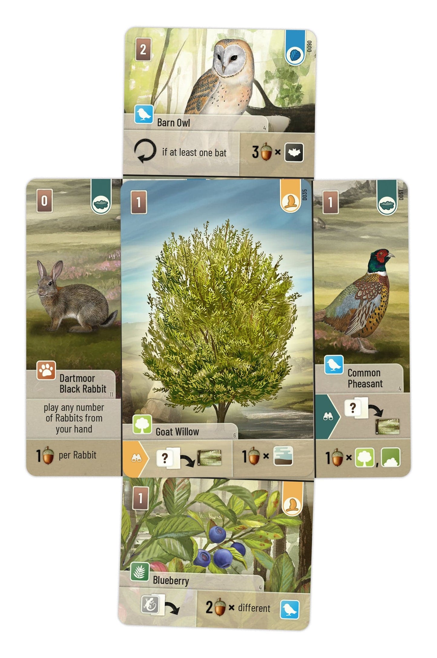 Forest Shuffle - Dartmoor