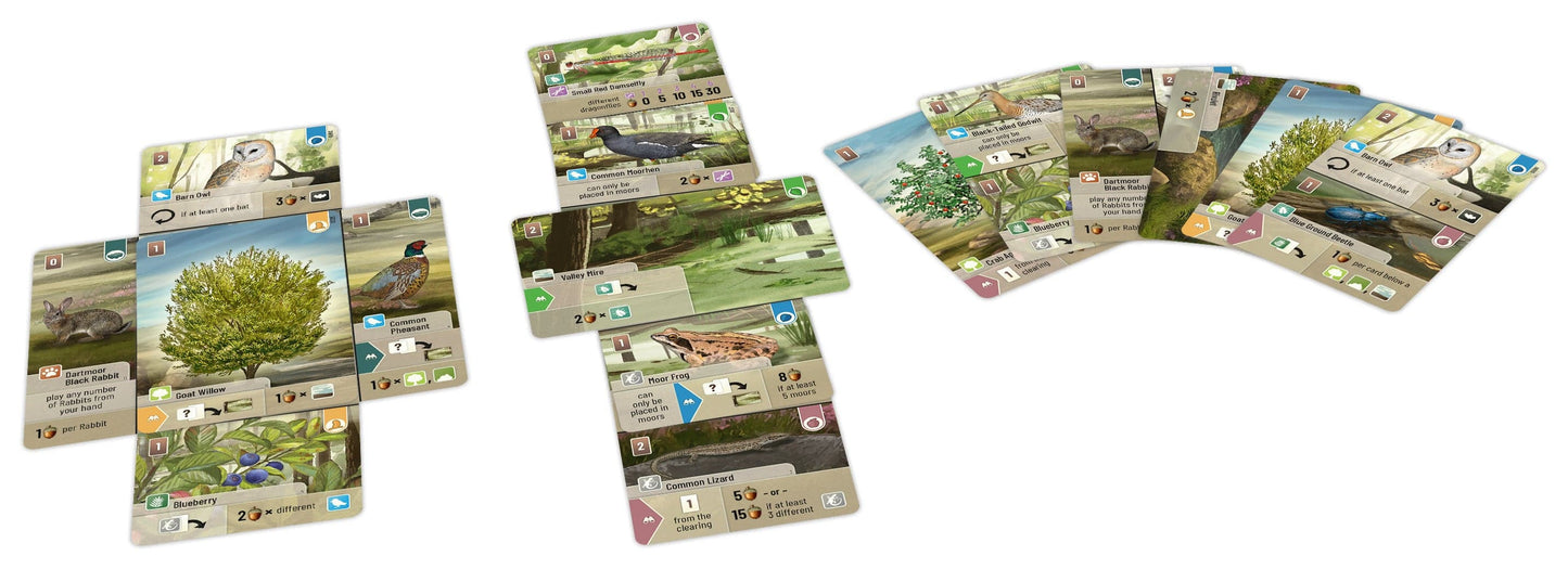 Forest Shuffle - Dartmoor
