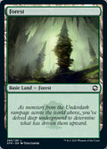 Forest 280 280 (Adventures in the Forgotten Realms) 