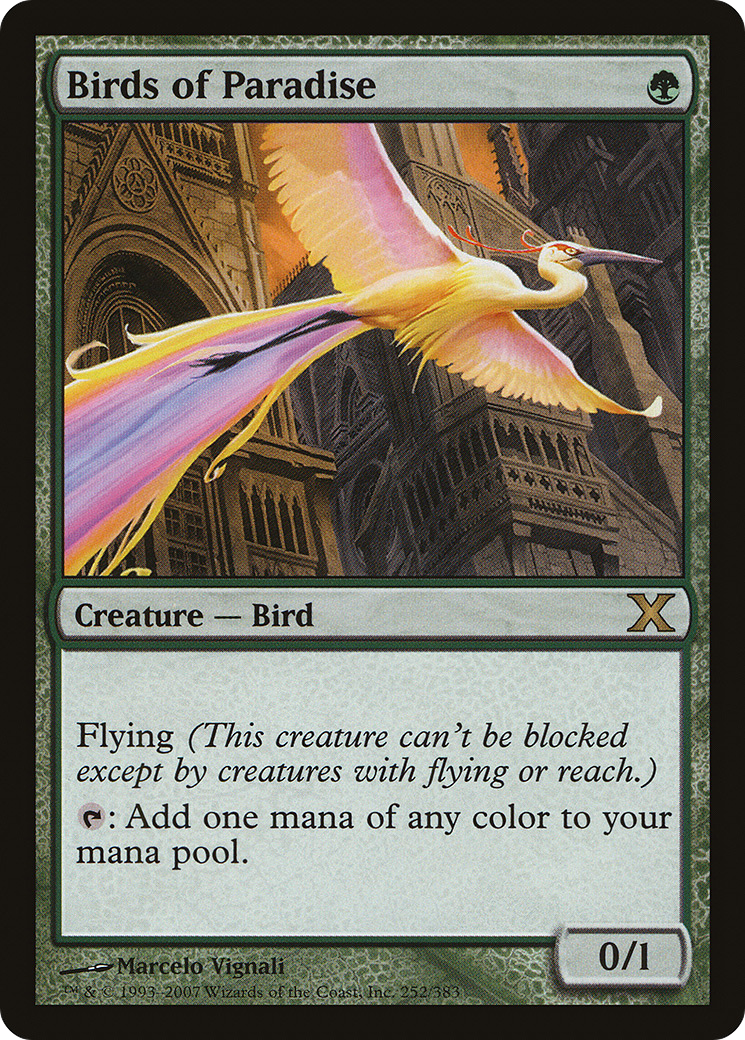 Birds of Paradise (10E-252) - Tenth Edition