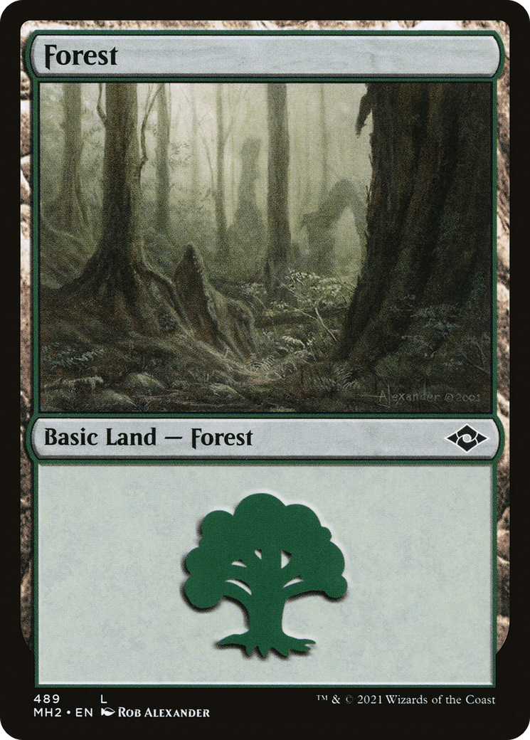 Forest (489) [Modern Horizons 2] Foil