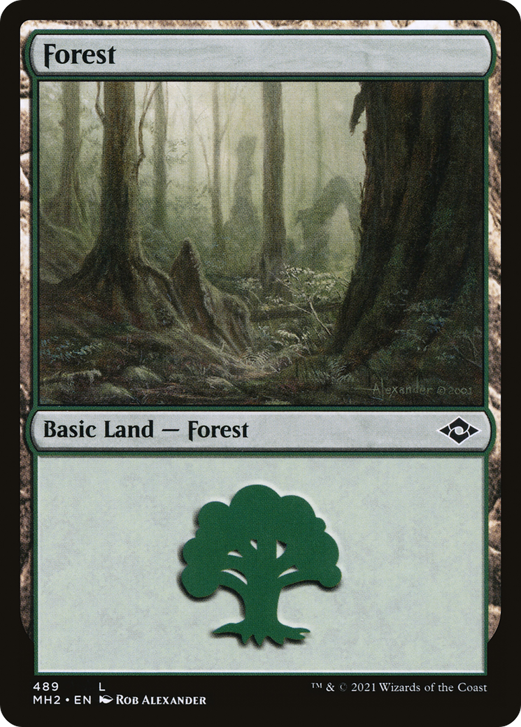 Forest (489) [Modern Horizons 2] Foil