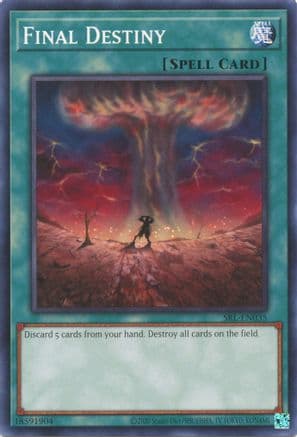 Final Destiny (25th Anniversary) [SRL-EN035] Common