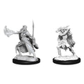 D&D Nolzurs Marvelous Unpainted Miniatures Winter Eladrin  & Spring Eladrin