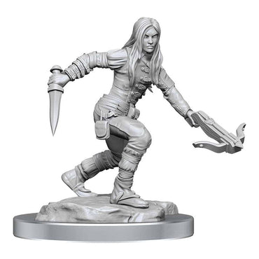 D&D Nolzurs Marvelous Unpainted Miniatures Half-Elf Rogue Female