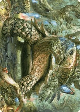 Blossoming Tortoise Art Card |  (024) [Art Series: Wilds of Eldraine]