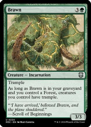 Brawn (Ripple Foil) |  Foil (224) [Modern Horizons 3 Commander]