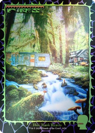 Forest (1656) (Rainbow Foil) (1656) [Secret Lair Drop Series]  Foil