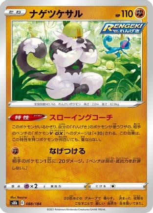 Passimian - 088/184 (088/184) (Japanese) - S8b VMAX Climax