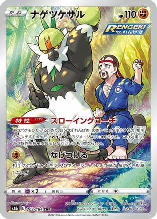 Passimian - 203/184 (203/184) (Japanese) - S8b VMAX Climax Holofoil