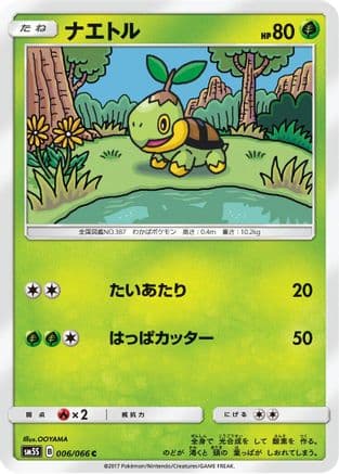 Turtwig - 006/066 (006/066) (Japanese) - SM5S Ultra Sun
