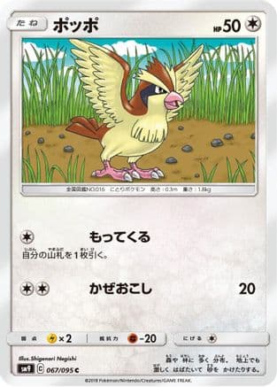 Pidgey - 067/095 (067/095) (Japanese) - SM9 Tag Bolt