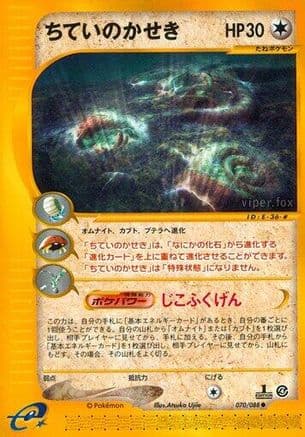 Buried Fossil (Japanese) - Split Earth