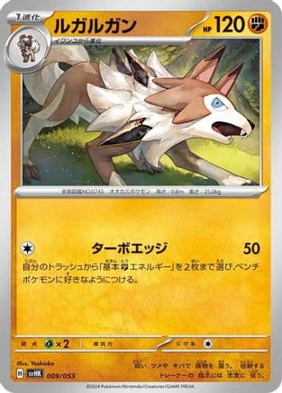 Lycanroc (009/053) (Japanese) - SV Ancient Koraidon ex Starter Deck  Build Set