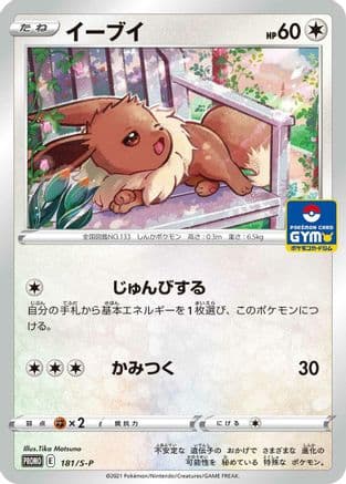 Eevee - 181/S-P (181/S-P) (Japanese) - SP Sword  Shield Promos