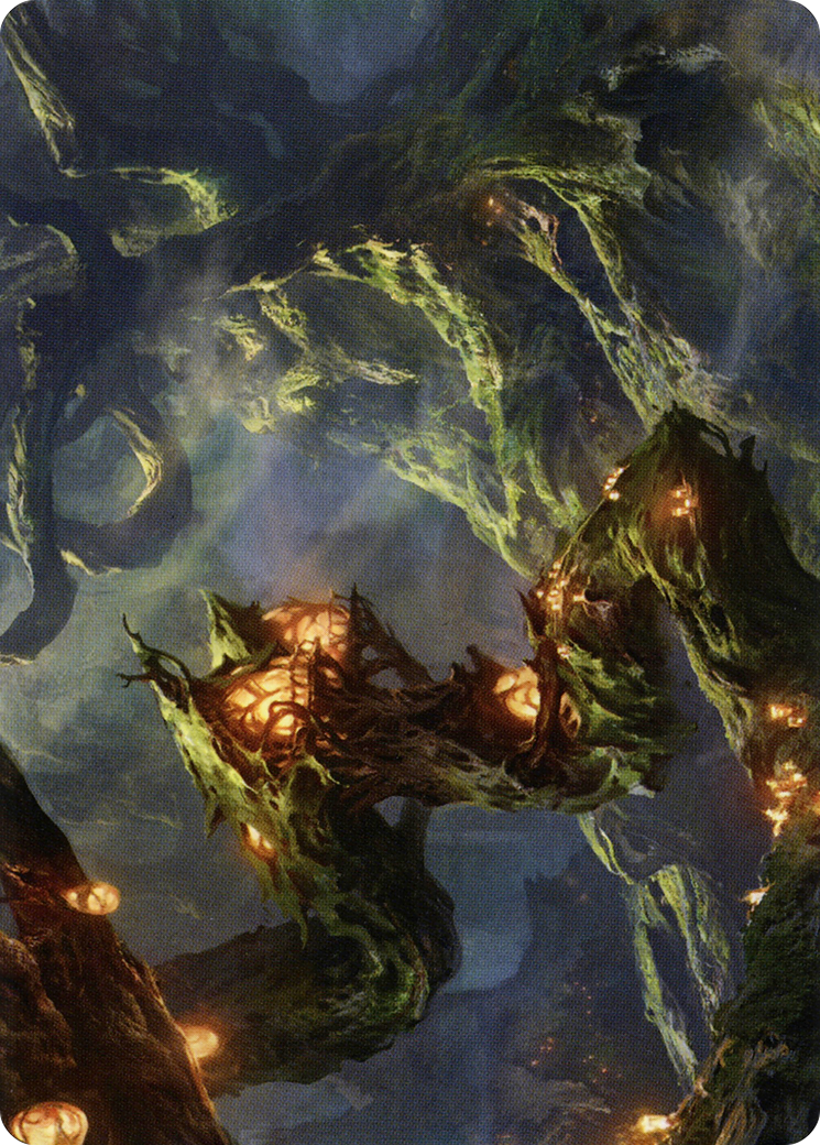 Forest // Forest (ASTX-050) - Strixhaven Art Series (Borderless)