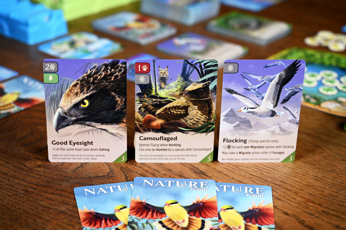 Nature | Module 1 - Flight Expansion (First Edition)