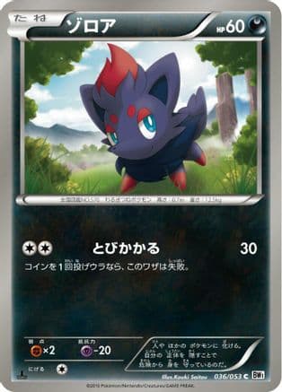 Zorua (Japanese) |  (036/053) [BW1 White Collection]