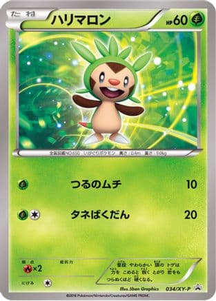 Chespin - 034/XY-P (034/XY-P) (Japanese) - XYP XY Promos
