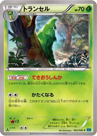 Metapod (002/080) (Japanese) - XY2 Wild Blaze Unlimited