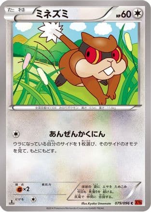 Patrat (079/096) (Japanese) - XY3 Rising Fist Unlimited